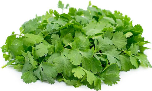 Cilantro, Produce, Wholesale