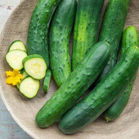 Cucumber