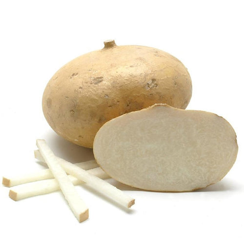 Jicama