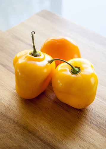 Manzano chili pepper