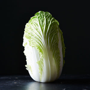 Napa cabbage