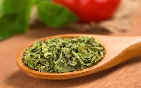 Mexican Oregano