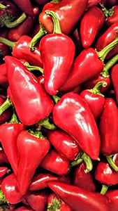 Red fresno